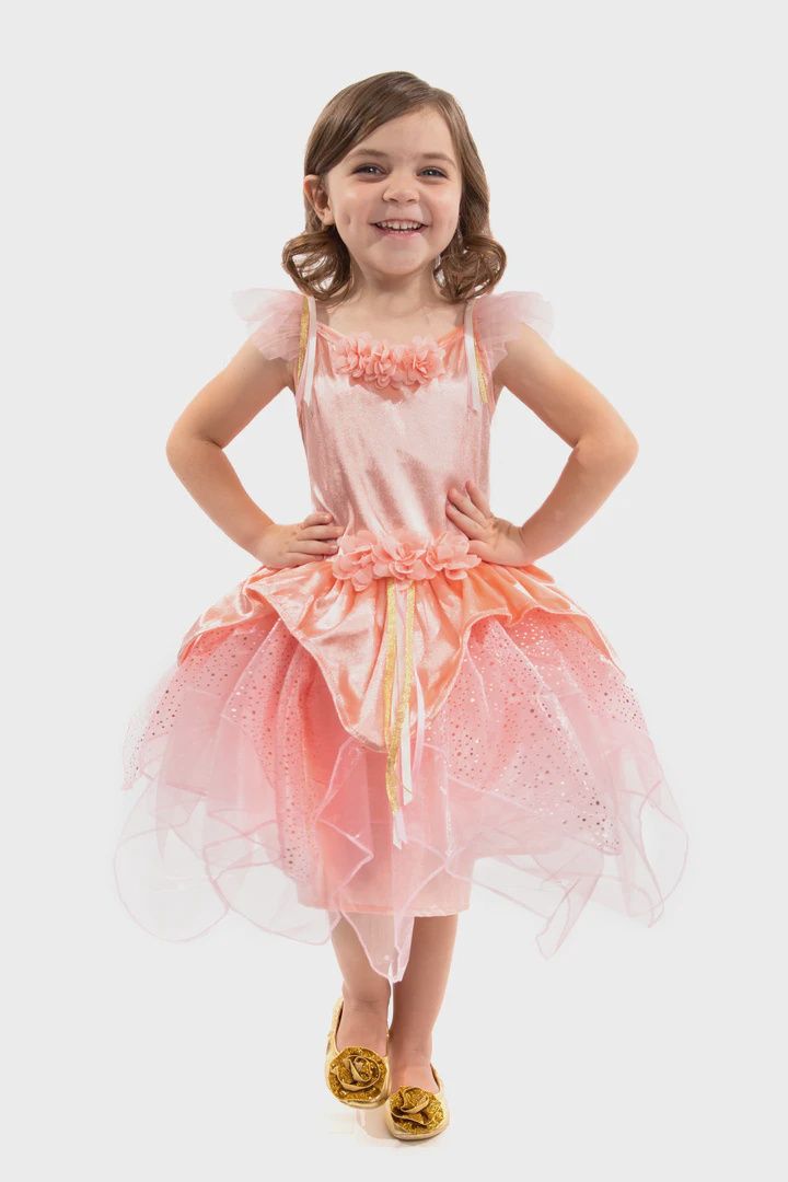 Rose Garden Fairy 5-7 Years