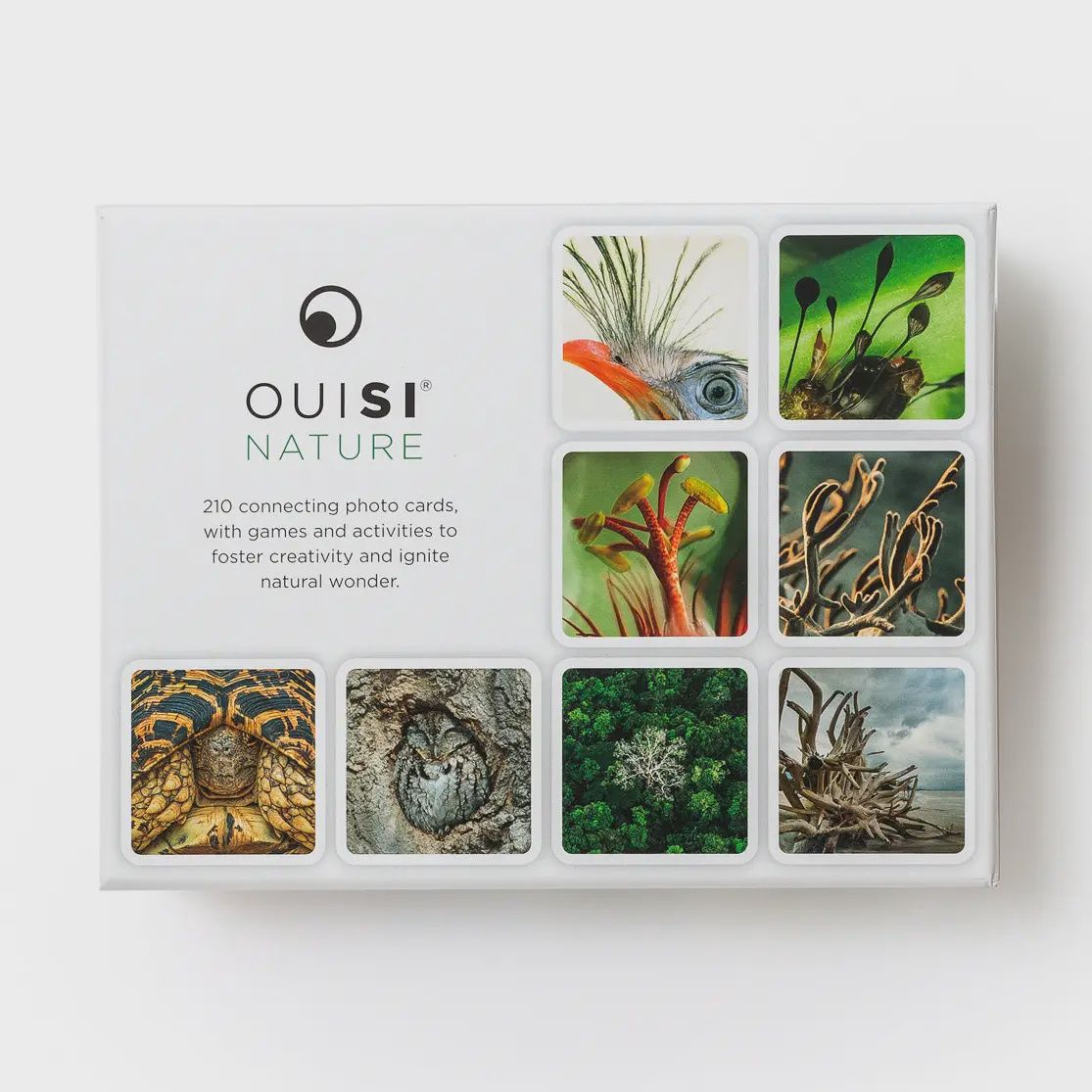 OuiSi Nature: Games of Visual Connection
