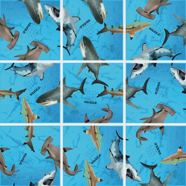 Squzzle Sharks