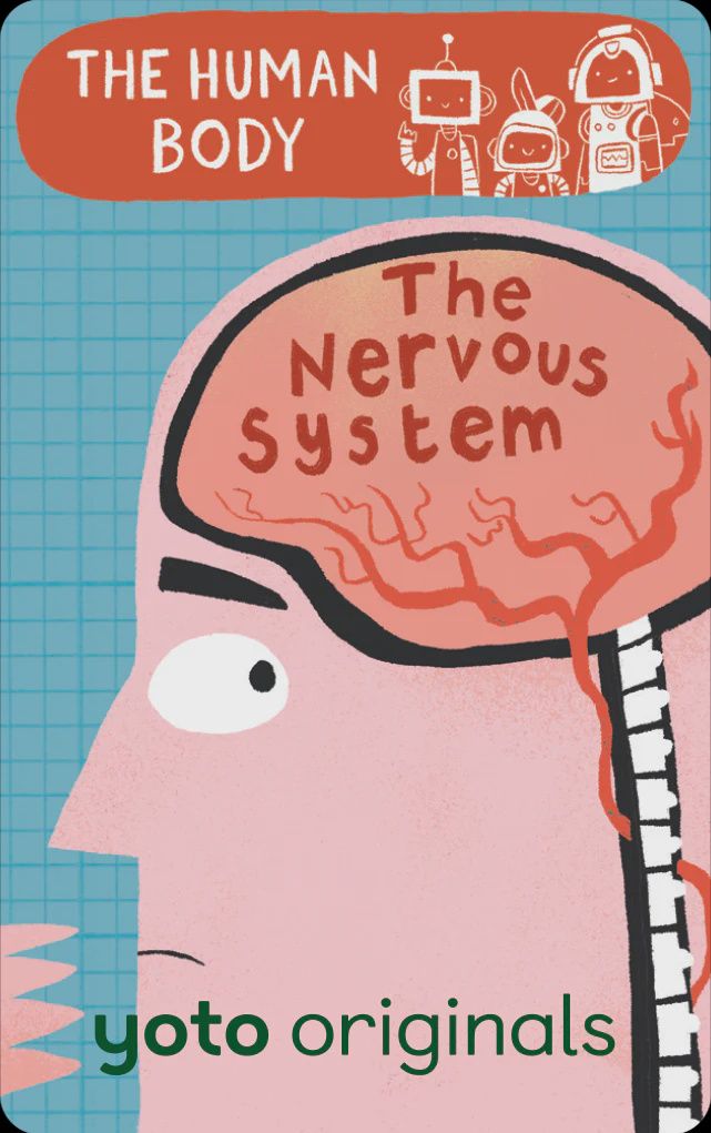 The Human Body: The Nervous System