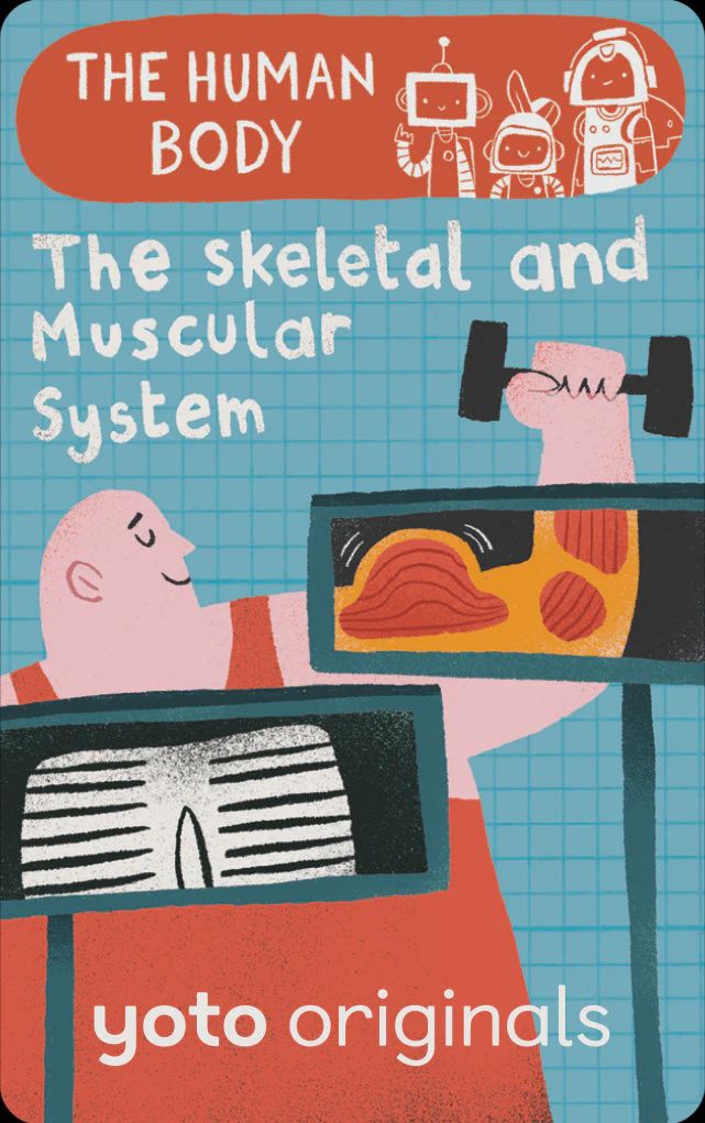 The Human Body: The Skeletal and Muscular Systems