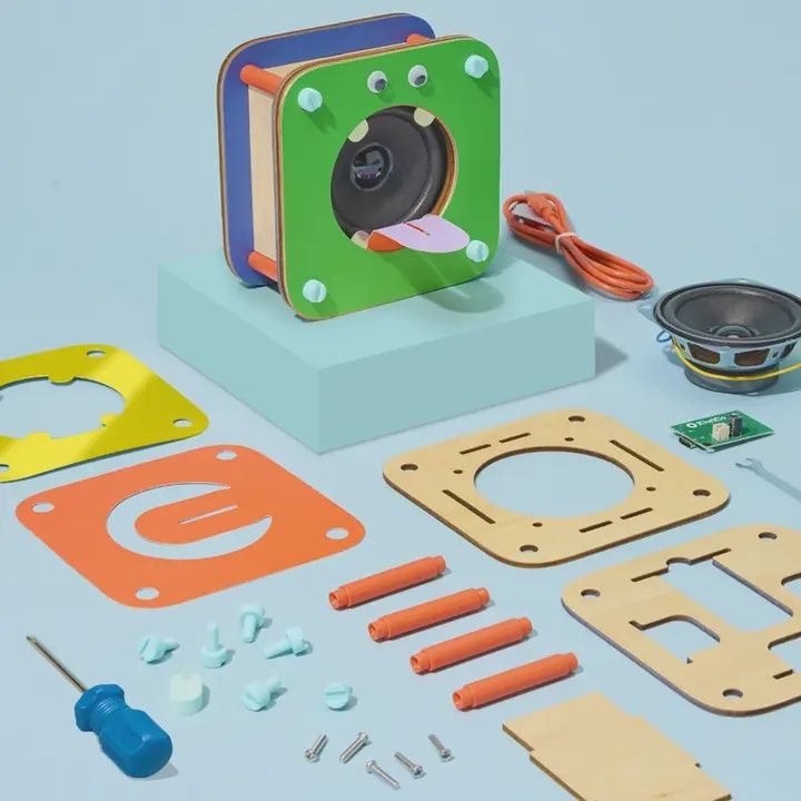 Customizable Speaker