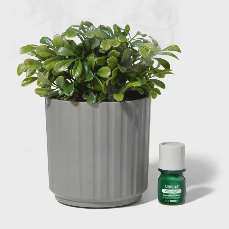 Plant Diffuser - Boxwood Plant