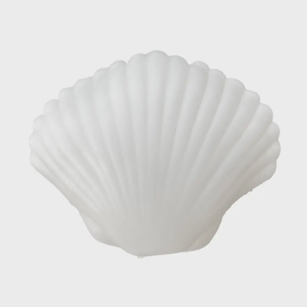 Seaside Clamshell Squeeze Squishy