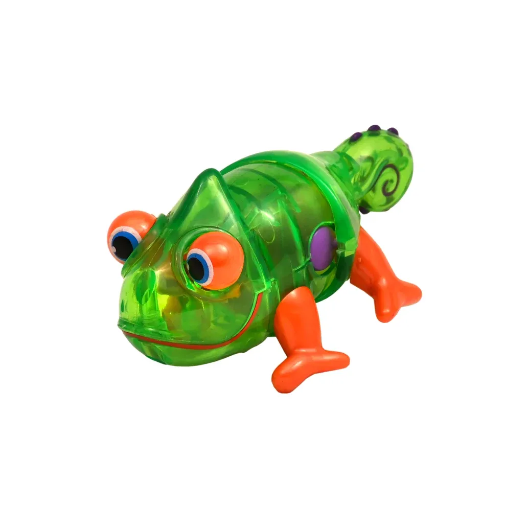 Gecko - Neil