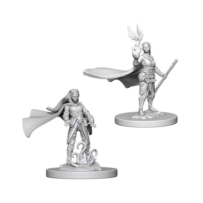Dungeons &amp; Dragons: Nolzur&#39;s - Elf Female Druid