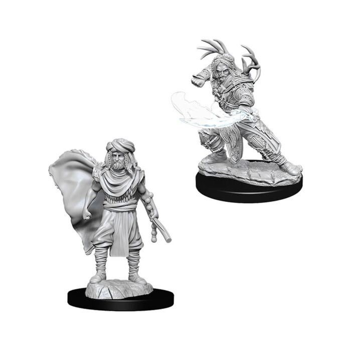 Dungeons &amp; Dragons: Nolzur&#39;s - Human Male Druid