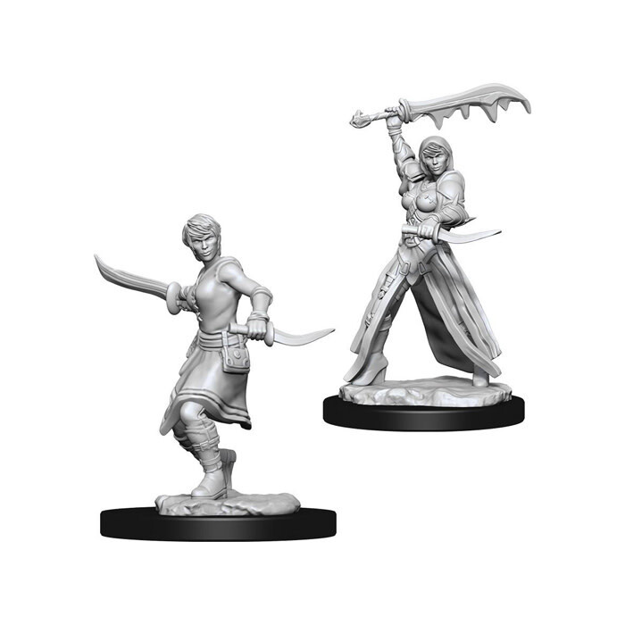 Dungeons &amp; Dragons: Nolzur&#39;s - Human Female Rogue