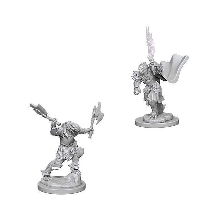 Dungeons &amp; Dragons: Nolzur&#39;s - Dragonborn Female Fighter