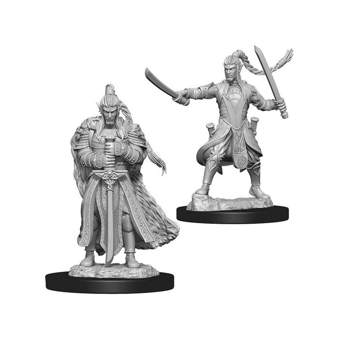Dungeons &amp; Dragons: Nolzur&#39;s - Elf Male Paladin