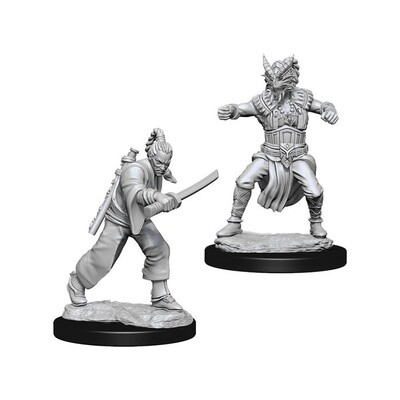Dungeons &amp; Dragons: Nolzur&#39;s - Human Male Monk