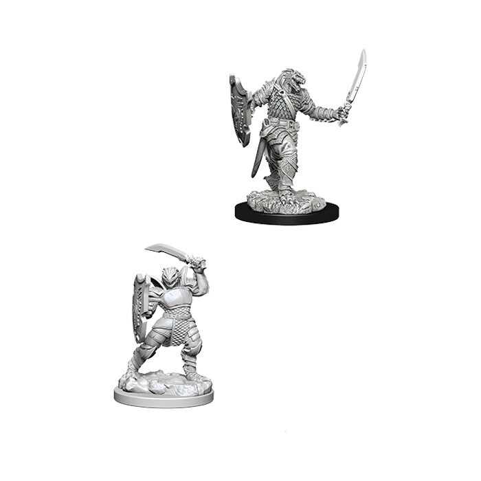 Dungeons &amp; Dragons: Nolzur&#39;s - Dragonborn Female Paladin