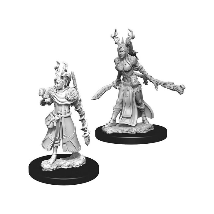 Dungeons &amp; Dragons: Nolzur&#39;s - Human Female Druid