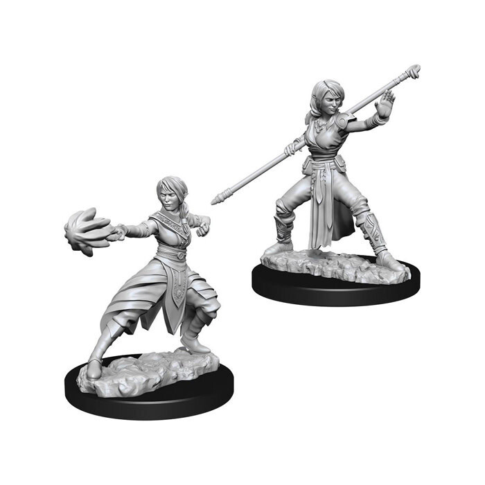Dungeons &amp; Dragons: Nolzur&#39;s - Half-Elf Female Monk
