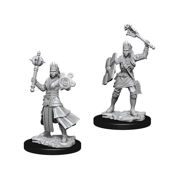 Dungeons &amp; Dragons: Nolzur&#39;s - Human Female Cleric