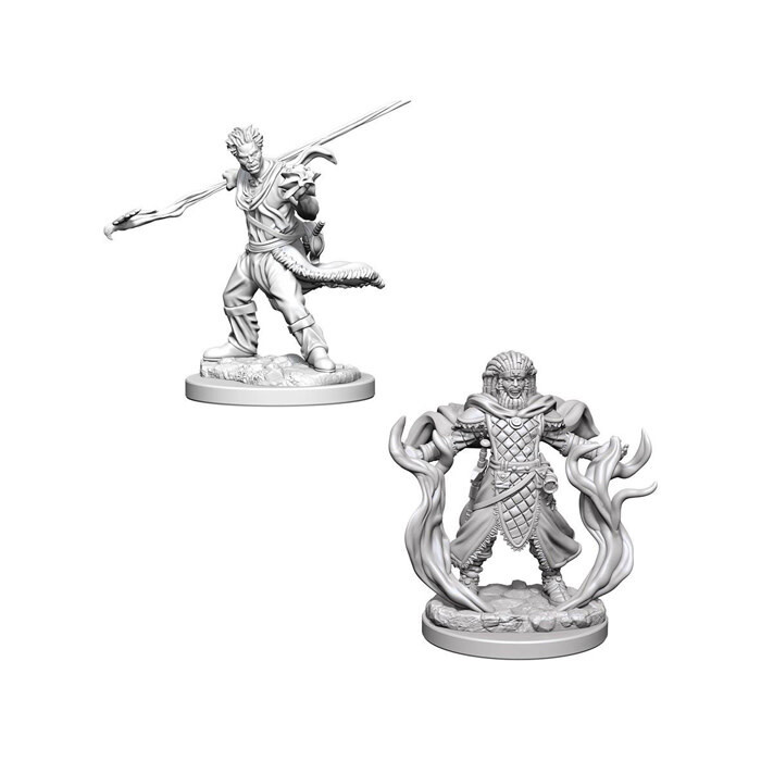 Dungeons &amp; Dragons: Nolzur&#39;s - Human Male Druid