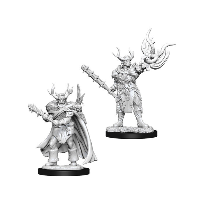 Pathfinder Battles: Deep Cuts - Half-Orc Male Druid