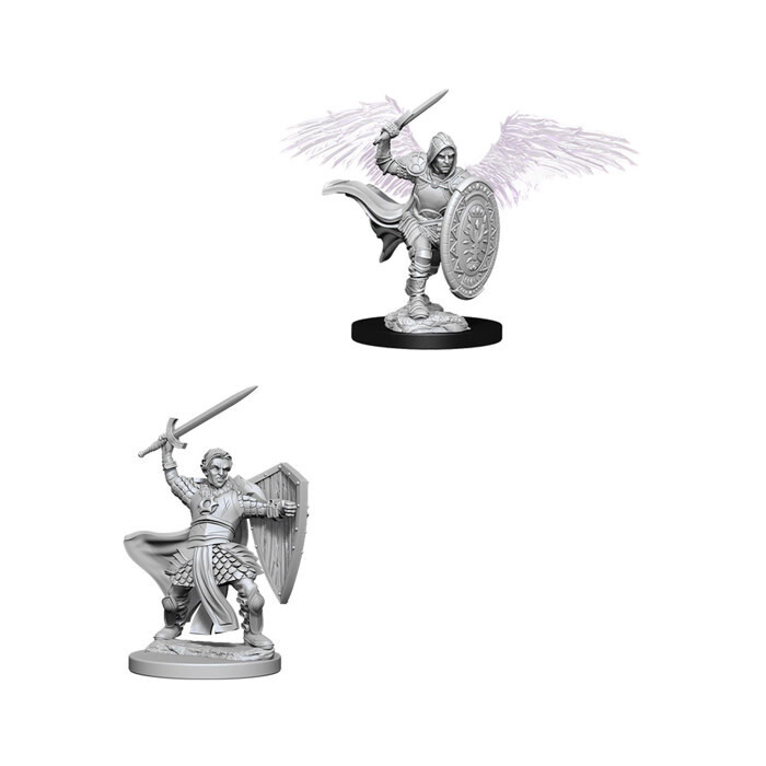 Dungeons &amp; Dragons: Nolzur&#39;s - Aasimar Male Paladin
