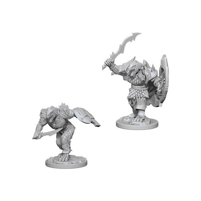 Dungeons &amp; Dragons: Nolzur&#39;s - Dragonborn Male Fighter