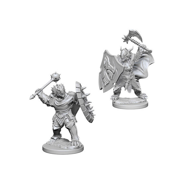 Dungeons &amp; Dragons: Nolzur&#39;s - Dragonborn Male Paladin