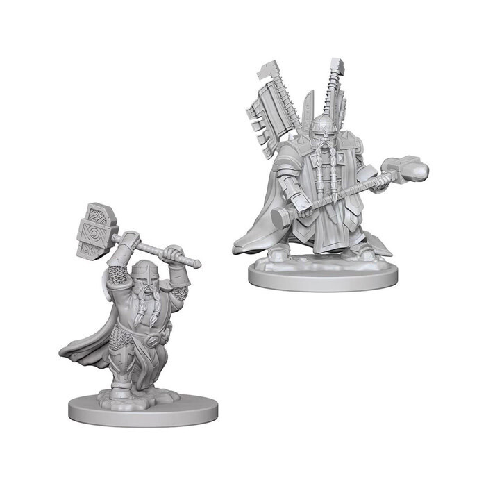 Dungeons &amp; Dragons: Nolzur&#39;s - Dwarf Male Paladin
