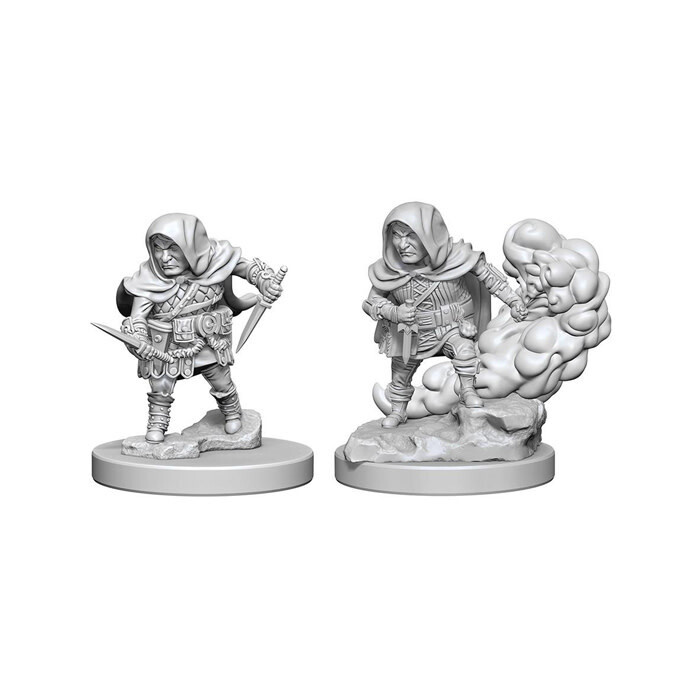 Dungeons &amp; Dragons: Nolzur&#39;s - Halfling Male Rogue