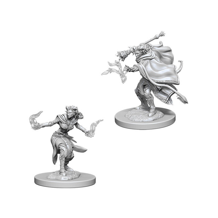 Dungeons &amp; Dragons: Nolzur&#39;s - Tiefling Female Warlock