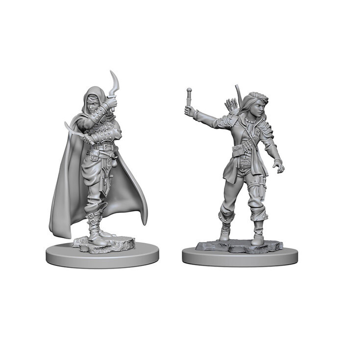 Pathfinder Battles: Deep Cuts - Human Female Rogue