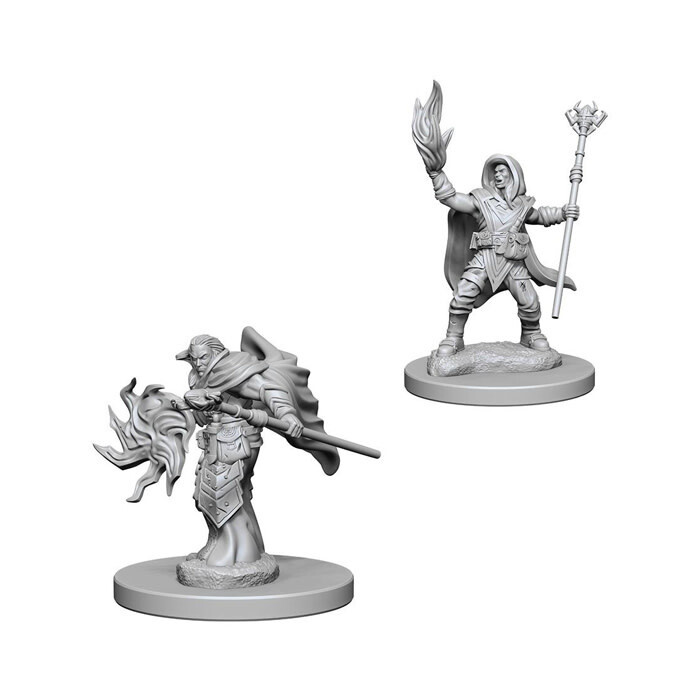 Dungeons &amp; Dragons: Nolzur&#39;s - Elf Male Wizard