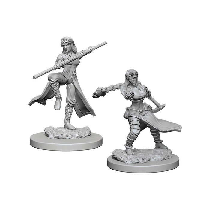 Dungeons &amp; Dragons: Nolzur&#39;s - Human Female Monk