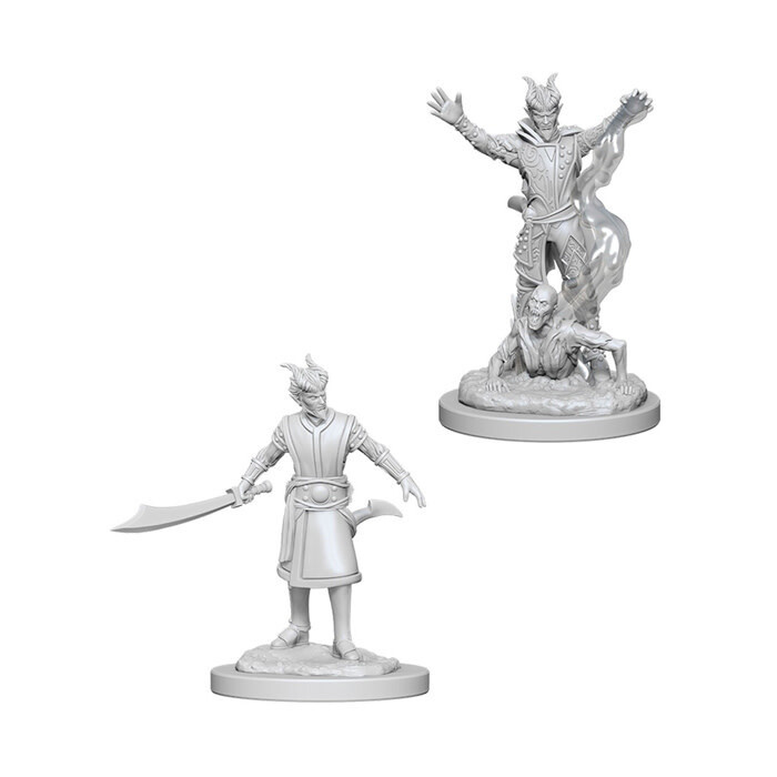 Dungeons &amp; Dragons: Nolzur&#39;s - Tiefling Male Warlock