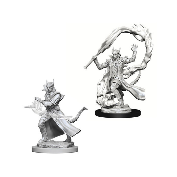 Dungeons &amp; Dragons: Nolzur&#39;s - Tiefling Male Sorcerer