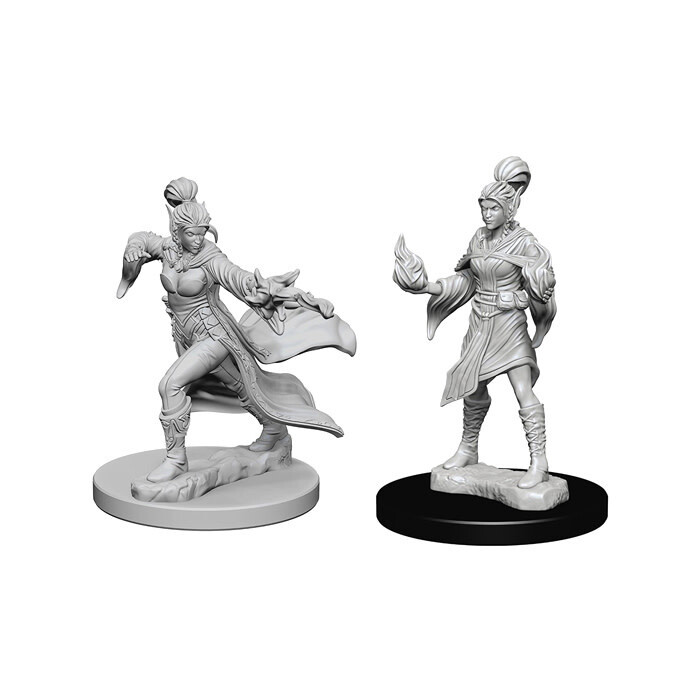 Pathfinder Battles: Deep Cuts - Elf Female Sorcerer