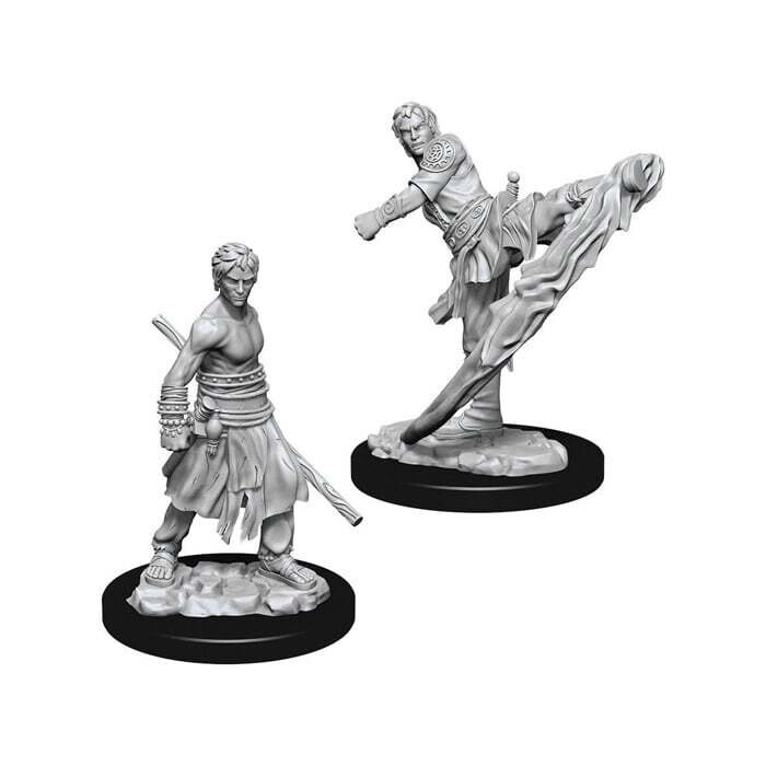 Dungeons &amp; Dragons: Nolzur&#39;s - Half-Elf Male Monk