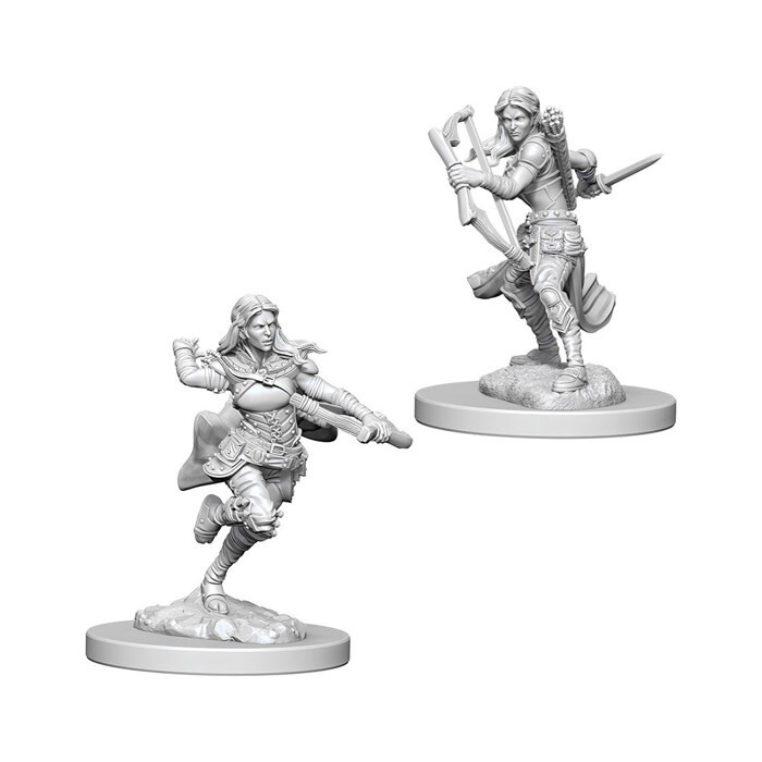 Dungeons &amp; Dragons: Nolzur&#39;s - Air Genasi Female Rogue