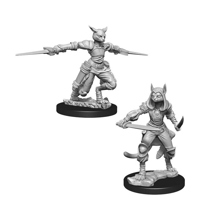 Dungeons &amp; Dragons: Nolzur&#39;s - Tabaxi Female Rogue
