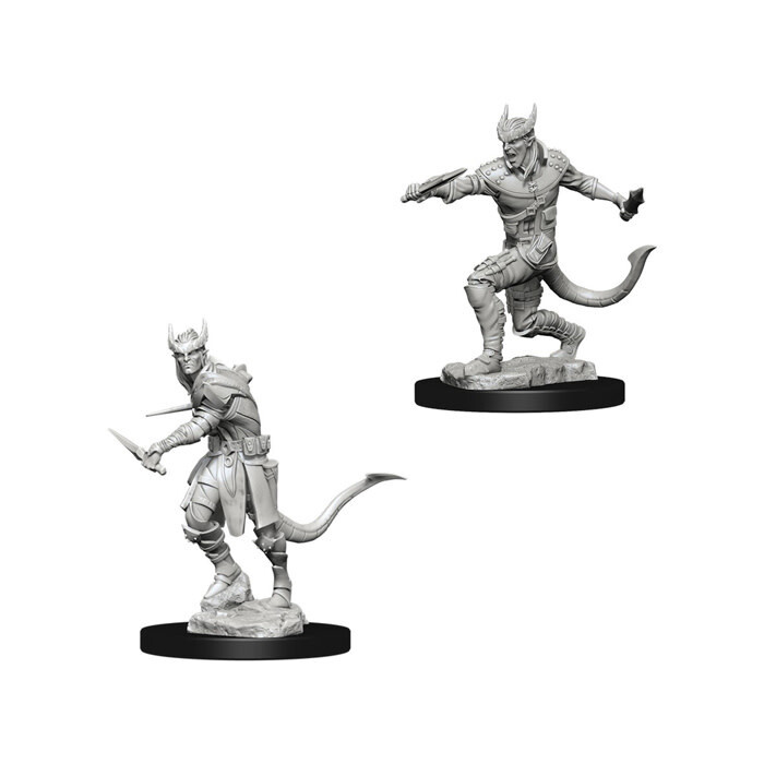 Dungeons &amp; Dragons: Nolzur&#39;s - Tiefling Male Rogue