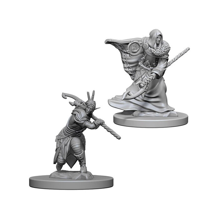Dungeons &amp; Dragons: Nolzur&#39;s - Elf Male Druid