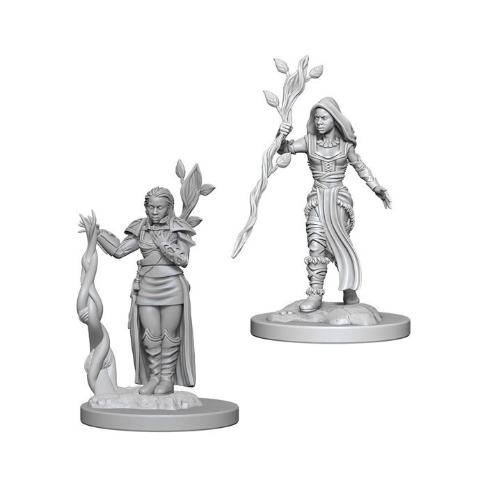 Dungeons &amp; Dragons: Nolzur&#39;s - Human Female Druid