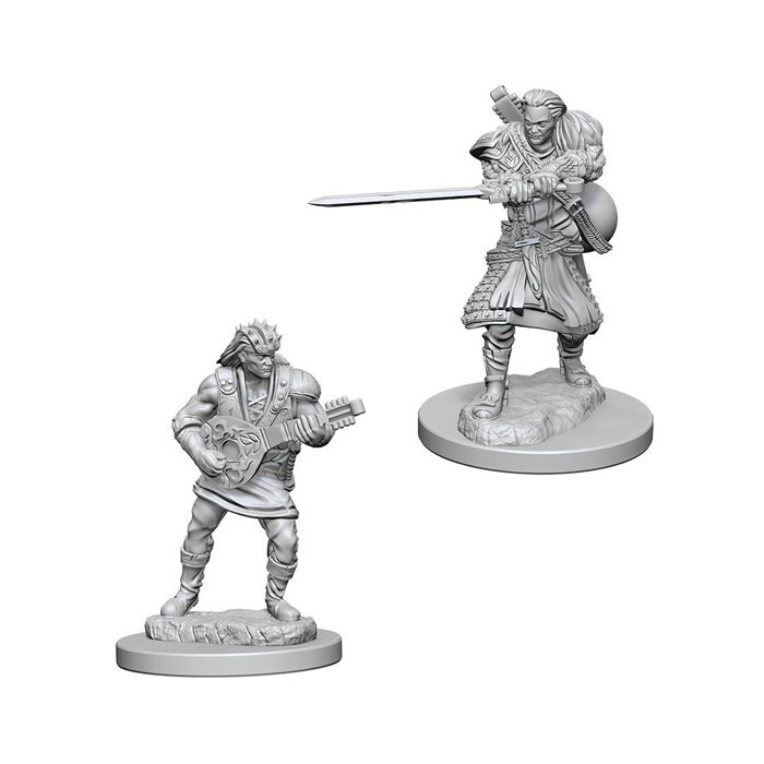 Dungeons &amp; Dragons: Nolzur&#39;s - Human Male Bard