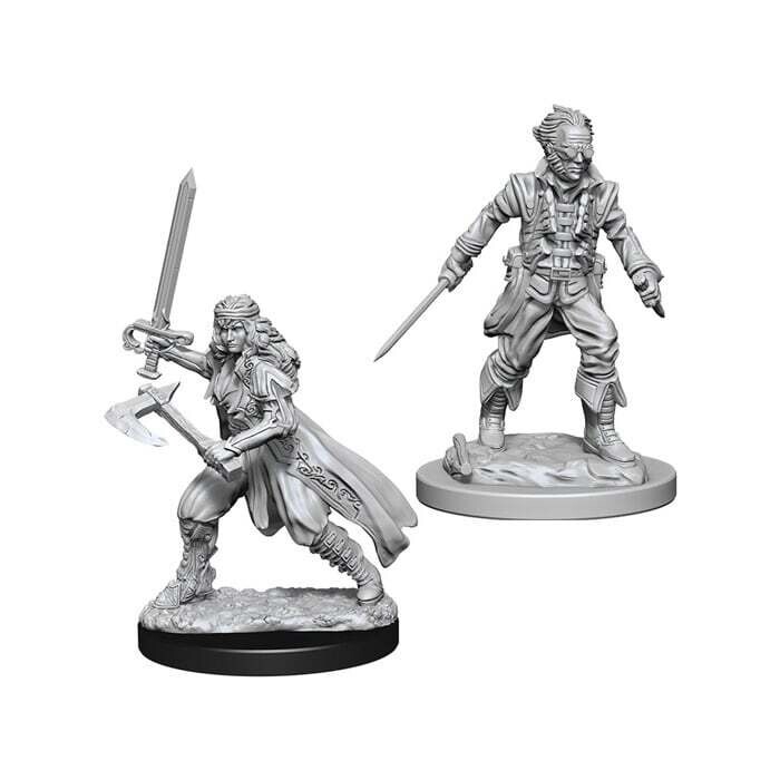 Dungeons &amp; Dragons: Nolzur&#39;s - Vampire Hunters