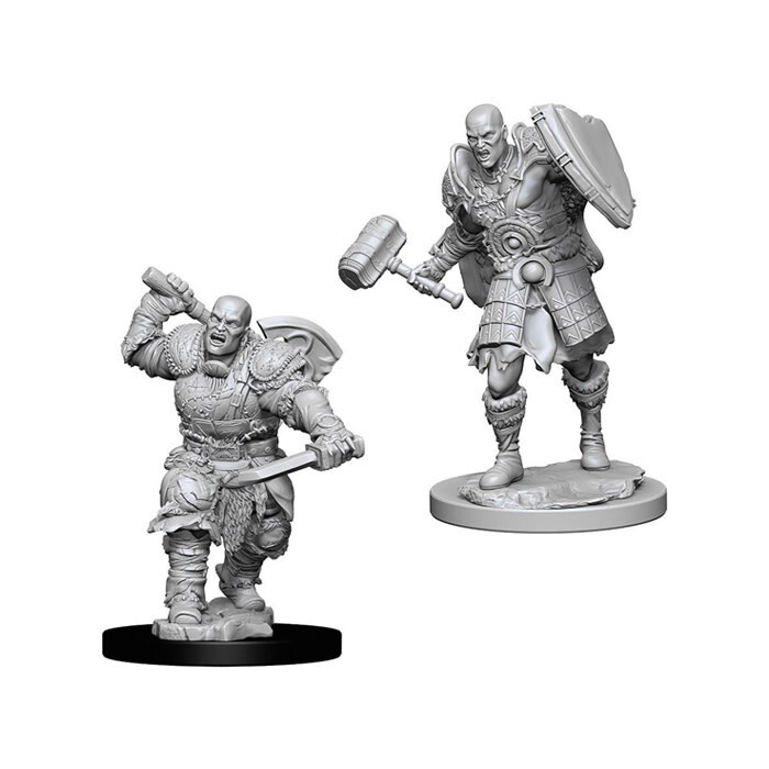 Dungeons &amp; Dragons: Nolzur&#39;s - Goliath Male Fighter