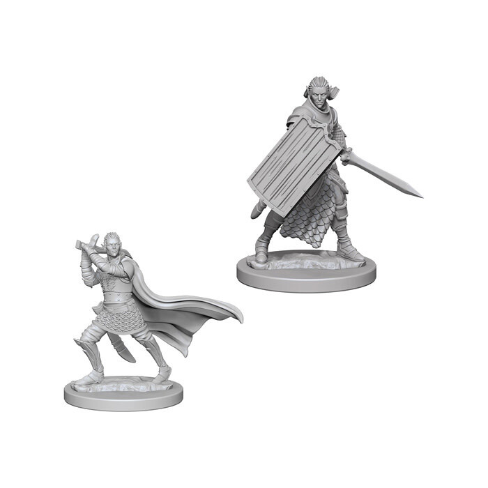Pathfinder Battles: Deep Cuts - Elf Male Paladin