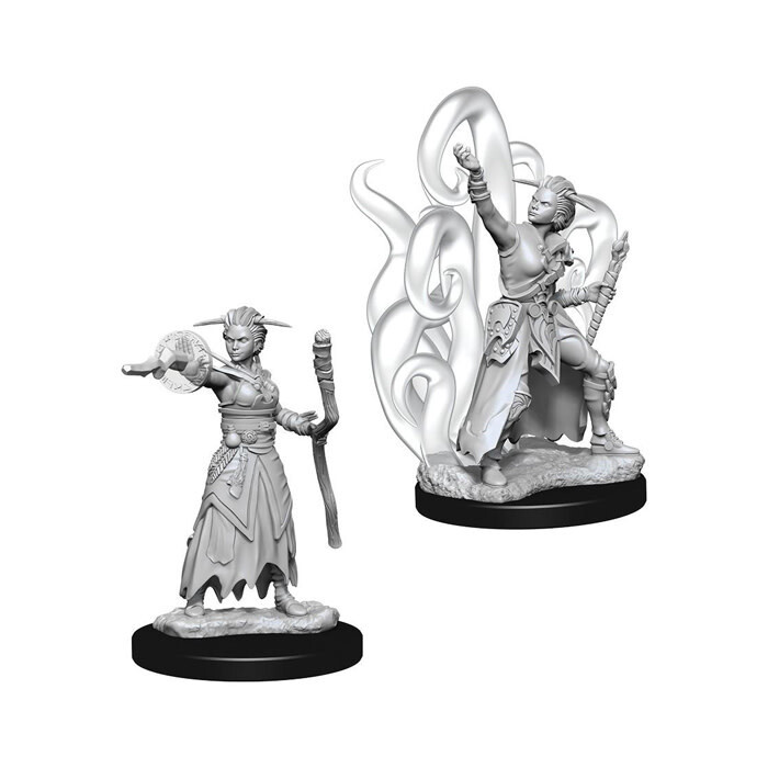 Dungeons &amp; Dragons: Nolzur&#39;s - Human Female Warlock