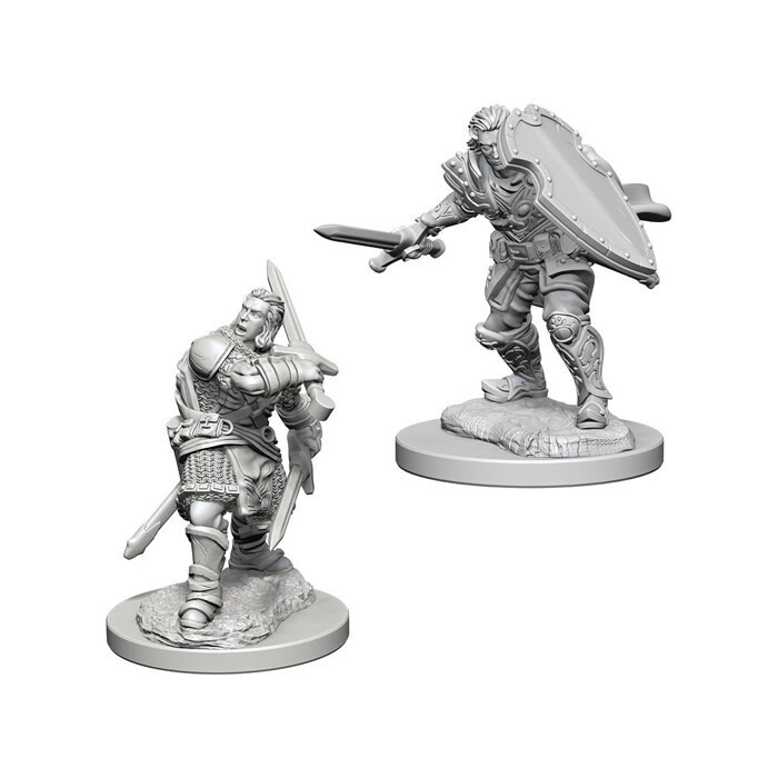 Dungeons &amp; Dragons: Nolzur&#39;s - Human Male Paladin