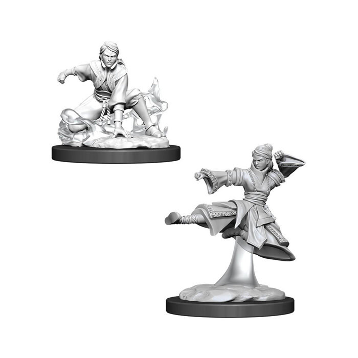 Dungeons &amp; Dragons: Nolzur&#39;s - Human Female Monk