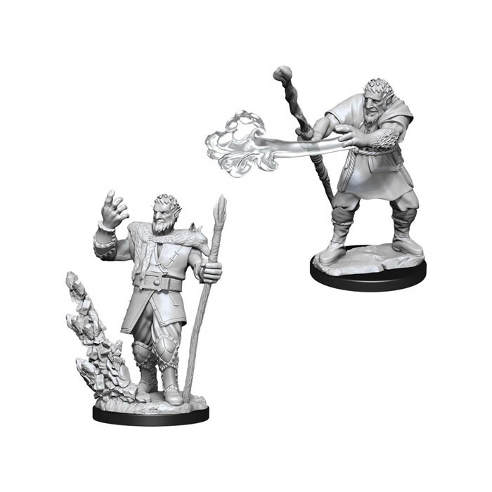 Dungeons &amp; Dragons: Nolzur&#39;s - Firbolg Male Druid