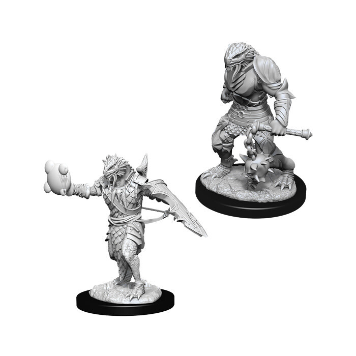 Dungeons &amp; Dragons: Nolzur&#39;s - Dragonborn Male Paladin