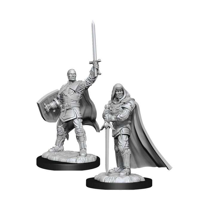 Dungeons &amp; Dragons: Nolzur&#39;s - Human Male Paladin