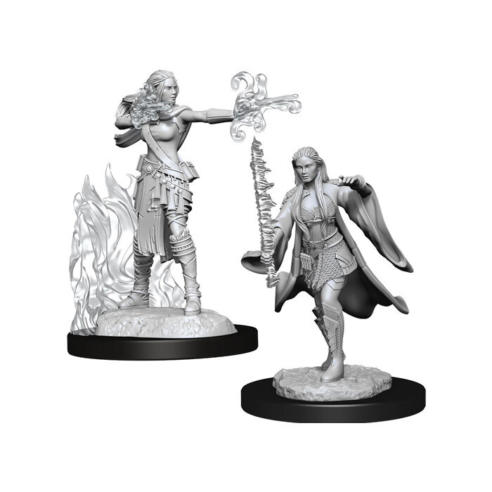 Dungeons &amp; Dragons: Nolzur&#39;s - Multiclass Female Sorcerer + Warlock